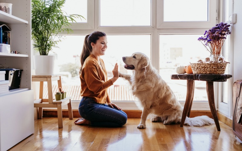 A woman and a dog